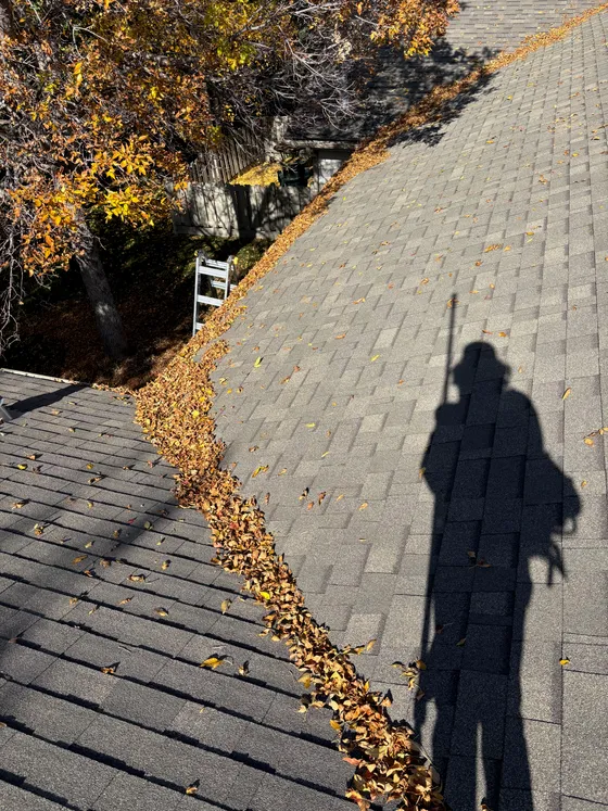 Leaves piled deep in a roof valley before clearing